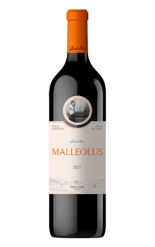 MALEOLUS