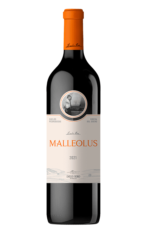 bot-malleolus-2021 EMILIO MORO MALLEOLUS
