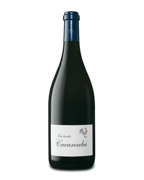 Qué Bonito Cacareaba 2020