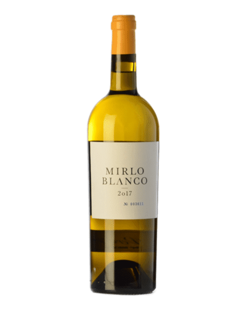 Mirlo Blanco 2019