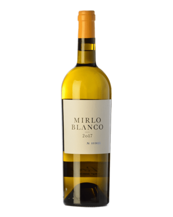 mirlo blanco Mirlo Blanco 2019